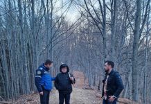 Gorjean rătăcit prin pădurile din Vâlcea