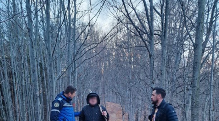 Gorjean rătăcit prin pădurile din Vâlcea