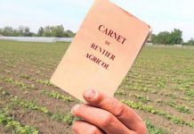 APIA Gorj a demarat campania de vizare a carnetelor de rentă viageră