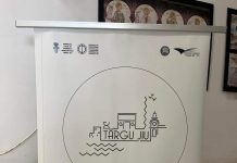 Expoziții în memoria lui Brâncuși, vernisate la Muzeul Județean