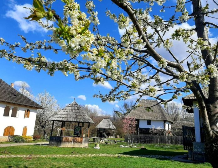 IMG-20220413-WA0001-11