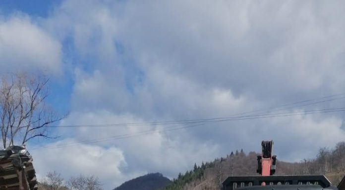 Amenzi pentru transportatorii de lemne