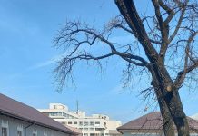 Școala Gimnazială “Constantin Săvoiu” a găzduit competiția “Mate+”