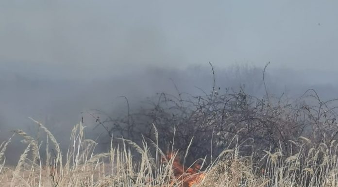 FOTO: Incendiu de vegetație la Lelești
