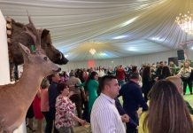 Balul vânătorilor, petrecere cu sute de participanți din toată țara!