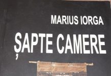 MARIUS IORGA – Șapte camere