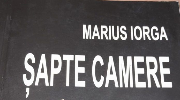 MARIUS IORGA – Șapte camere
