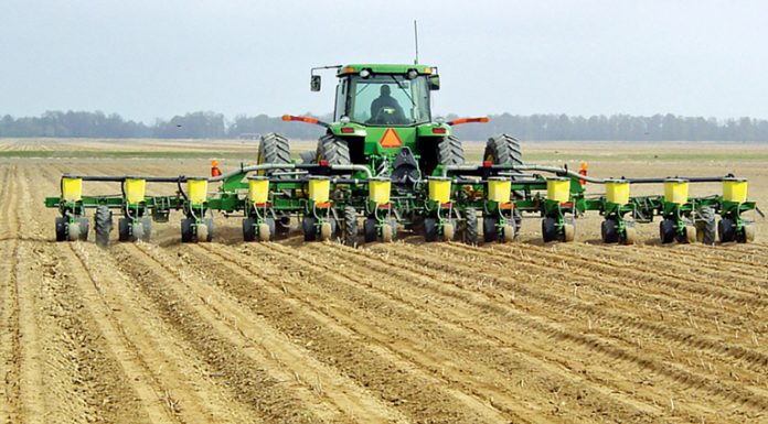 Agricultura pe înțelesul tuturor – Calendarul lucrărilor agricole în luna martie