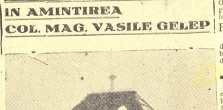 Unde este Troița de la Câmpu Mare?