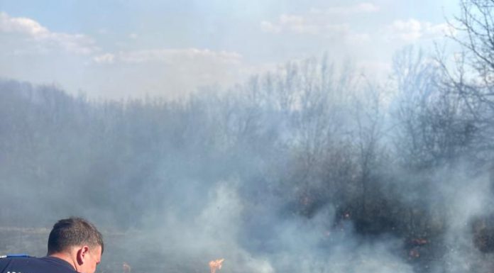 FOTO, VIDEO| Căpreni: Incendiu lângă conductele de produse petroliere! Intervenție a jandarmilor