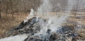Peștișani: Amendat cu 10.000 de lei pentru că a dat foc unor deșeuri
