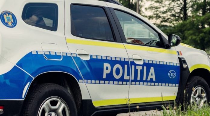 Crimă la Licurici. Și-a ucis fratele cu târnăcopul