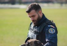 Angajări în poliție. Post disponibil la Târgu Jiu