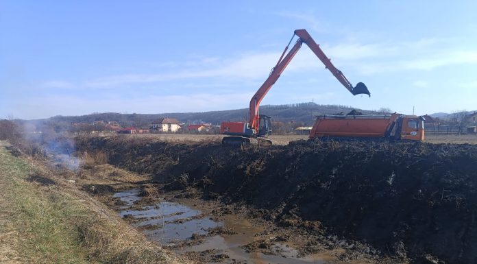 Pârâu aproape dispărut. Decolmatare la Lupoaia