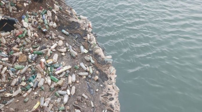 Igienizare a Jiului, la barajul Ișalnița