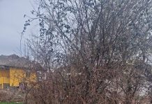 Târgu Jiu: Șase persoane au fost amendate de Garda de Mediu