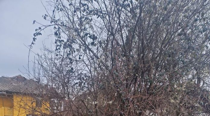 Târgu Jiu: Șase persoane au fost amendate de Garda de Mediu