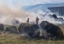 Foc pus din răzbunare