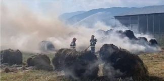 Foc pus din răzbunare