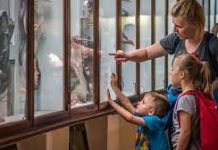 Intrare gratuită în muzee pentru copii și tineri