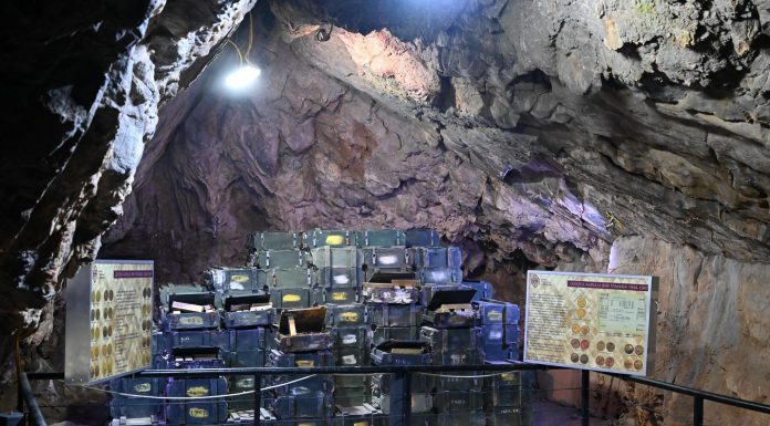 Pază de 300.000 lei pentru muzeul BNR de la Tismana