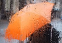 Temperaturile scad brusc. Frig, ploi și ninsori