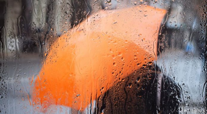 Temperaturile scad brusc. Frig, ploi și ninsori