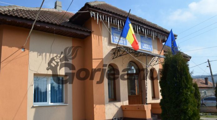 Un nou consilier local la Borăscu
