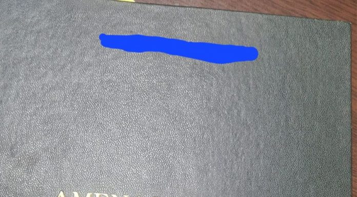 Schela: Proprietar de pădure, amendat cu 60.000 de lei