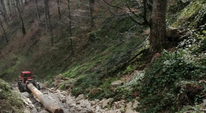 Cărau bușteni prin albia râurilor. Amenzi de 24.000 de lei