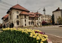 Târgu Jiu: Patru noi cetățeni de onoare