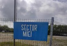 Târg de miei la Târgu Jiu