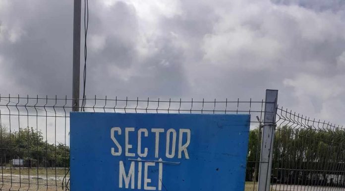 Târg de miei la Târgu Jiu