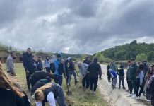 Arbori plantați la Roșia de Amaradia