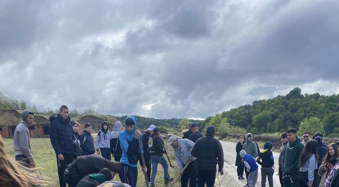 Arbori plantați la Roșia de Amaradia