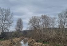 Lucrări de decolmatare la Țicleni