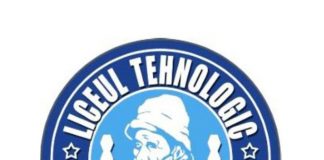 Liceul Tehnologic ,,Constantin Brâncuși” Peștișani, singura instituție din Gorj care are logo aprobat de VISARTA. Poate folosi imaginea operelor brâncușiene