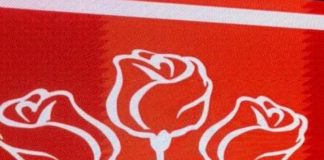 Candidatul PSD Gorj la Primăria Roșia de Amaradia este un tânăr antreprenor