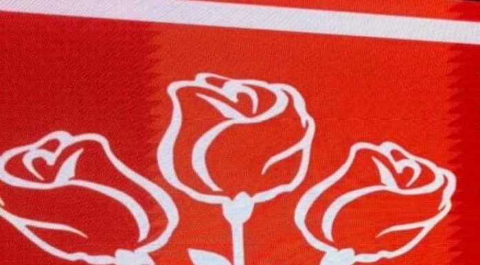 Candidatul PSD Gorj la Primăria Roșia de Amaradia este un tânăr antreprenor