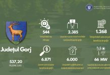 FTJ: Peste 124 milioane de euro pentru IMM-uri