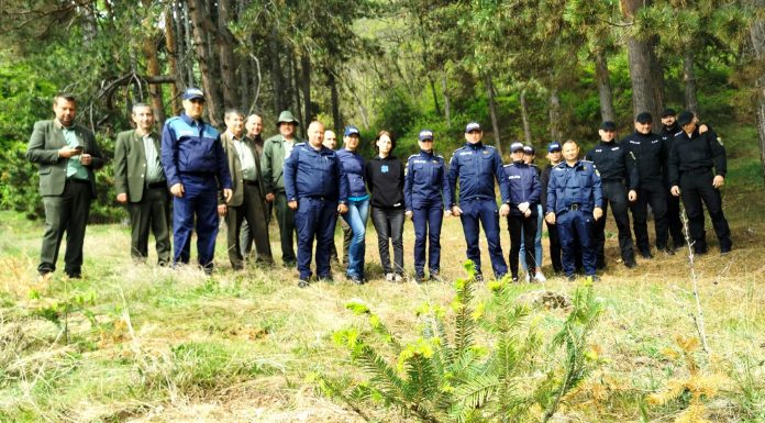 Polițiștii au plantat 70 de copaci, la Baia de Fier