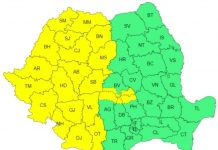 Gorjul, sub cod galben de vijelii