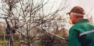 Agricultura pe înțelesul tuturor – Protecția fitosanitară a pomilor fructiferi