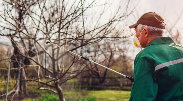 Agricultura pe înțelesul tuturor – Protecția fitosanitară a pomilor fructiferi