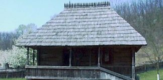 Ulmul lui Tudor Vladimirescu (II)