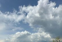 Măsuri împotriva Polaris! Depozitul de gunoi, controlat de ANM