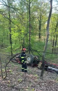 VIDEO| Un tânăr de 21 de ani a murit strivit de tractor, într-o pădure, la Bolboși