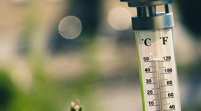 Ești pregătit pentru sezonul cald? Iată cum să pregătești locuința pentru a evita temperaturile ridicate din timpul verii