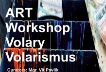 Expoziție internațională de artă contemporană, la Târgu Jiu