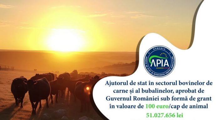 Bani de la APIA pentru crescătorii de bovine